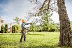Best Tree Removal  in Kenilworth, NJ