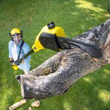 Lawn Maintenance Plans in Kenilworth, NJ